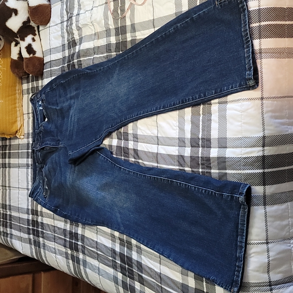 Never Worn Plus Size 16W slim Boot Judy Blue